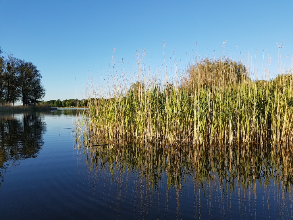 Ferienhaus Bootshaus am Teterower See direkt am Wasser mieten